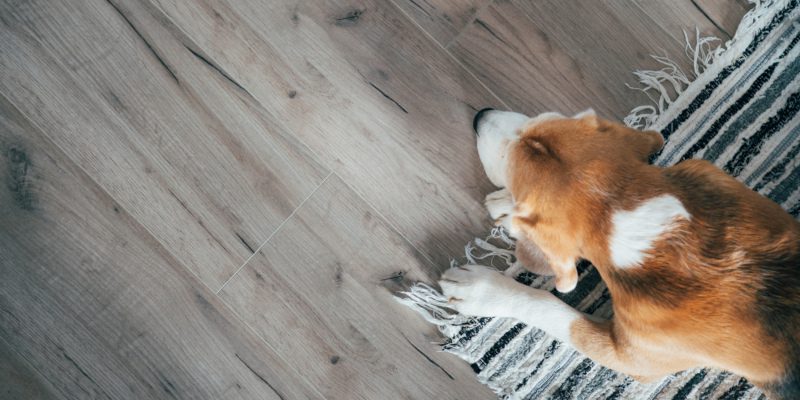 There are pros and cons to both vinyl and laminate flooring