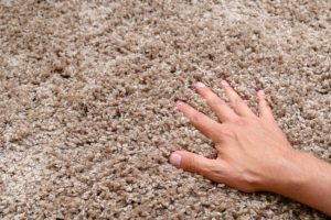 Things to Consider When Choosing Carpet